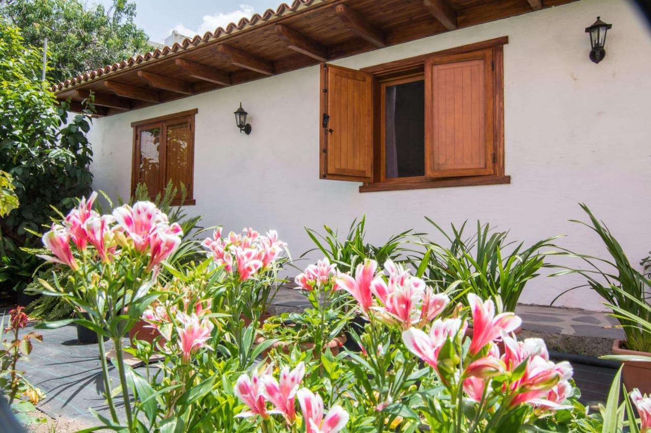 Cozy House Casa Vero Mai Icod De Los Vinos Exterior foto