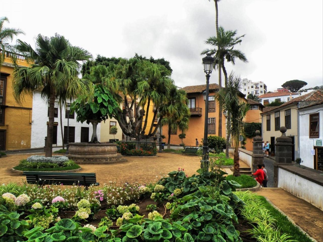 Cozy House Casa Vero Mai Icod De Los Vinos Exterior foto